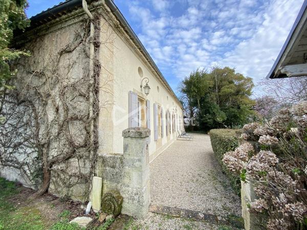 Longère de caractère rénovée – Cœur du vignoble du Bourgeais – Gîte / Chambre d'hôtes possible