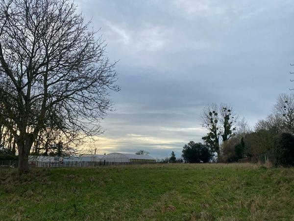 Terrain à bâtir 2934 m2 Argoules