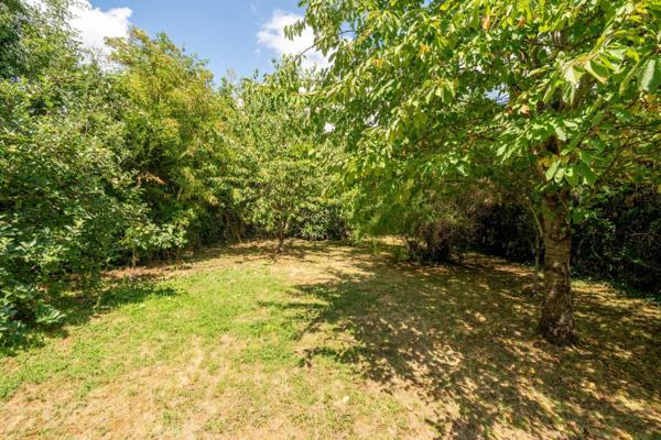 Maison individuelle – 6 chambres – Garage – Jardin arboré de 720 m²