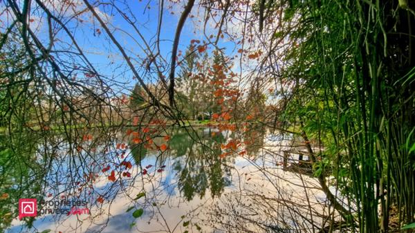 Maison Hesdin 4 pièce(s) 77 m2