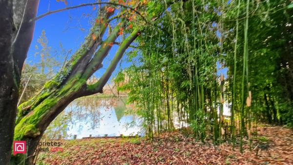 Maison Hesdin 4 pièce(s) 77 m2