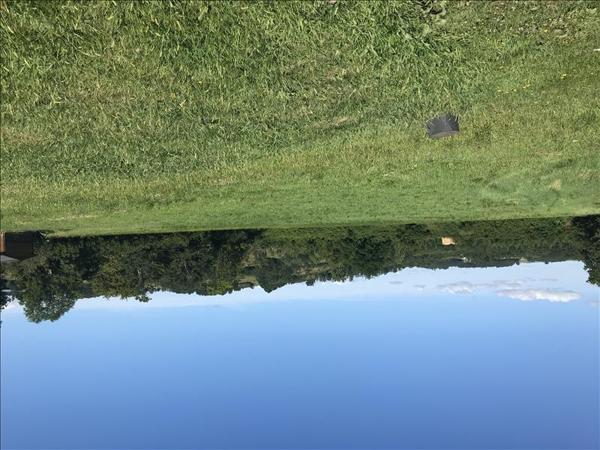 Terrain à vendre |  Ussac |  6834 m²