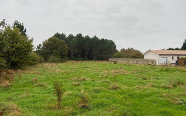 Terrain à vendre    Pontenx-les-Forges
