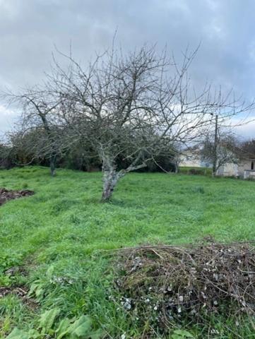Terrain constructible, à vendre, de 1 102,00 m² DIGNAC (16)