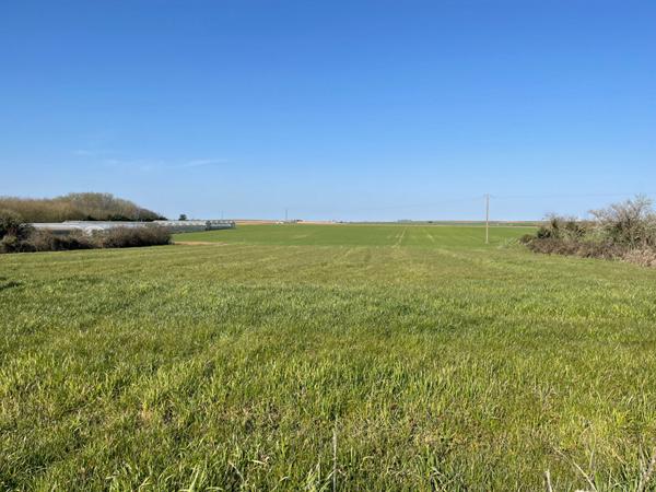 Terrain de 3 243 m² à 10 minutes de Fontenay-le-Comte