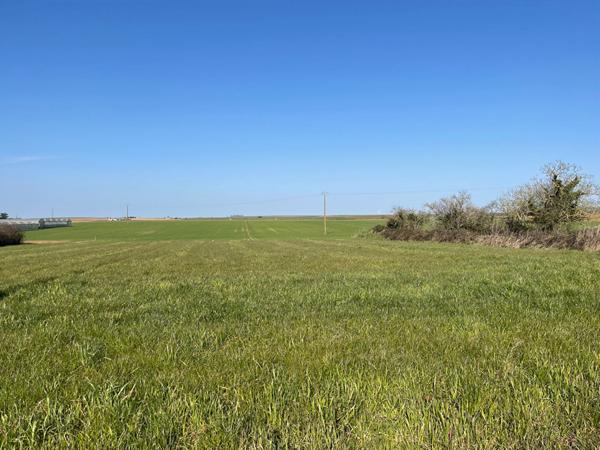 Terrain de 3 243 m² à 10 minutes de Fontenay-le-Comte
