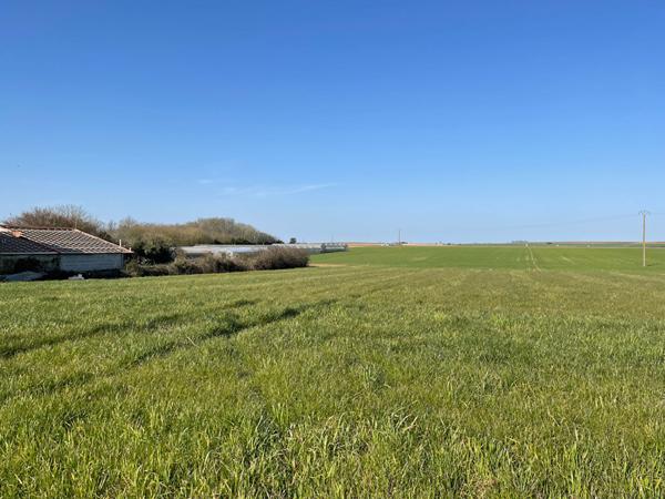 Terrain de 3 243 m² à 10 minutes de Fontenay-le-Comte