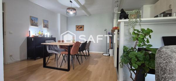 Joli T3 de 70m2 centre ville /  terrasse - garage