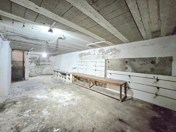 IMMEUBLE AVEC APPARTEMENT, LOCAL COMMERCIAL ET CAVE