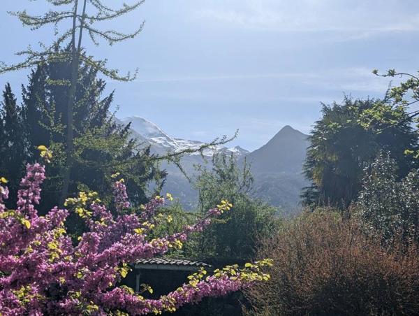 Terrain 119 460 € Pierrefitte-Nestalas 990 m² DPE