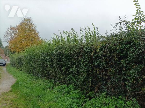 Dans village recherché, terrain à bâtir, plat, avec grande façade, proximité immédiate de l'A26.