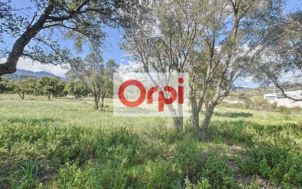 Terrain à vendre    Zonza