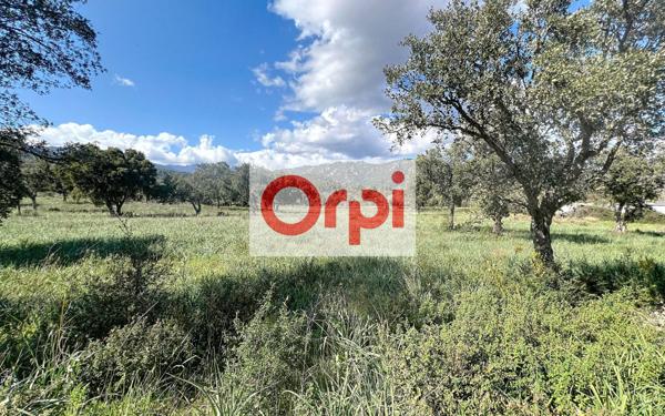 Terrain à vendre    Zonza