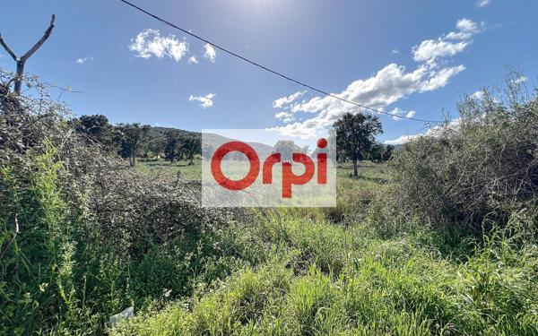 Terrain à vendre    Zonza