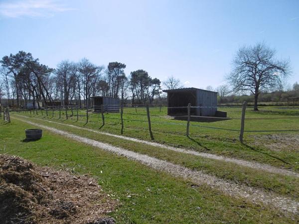 Maison  2 pièces 50 m2