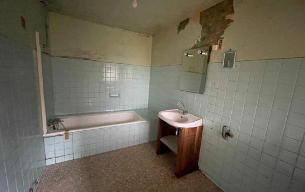 Vente Maison Aixe-sur-vienne   