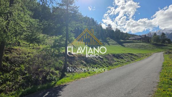 Terrain 5259 m2 La Condamine-Châtelard (04530)