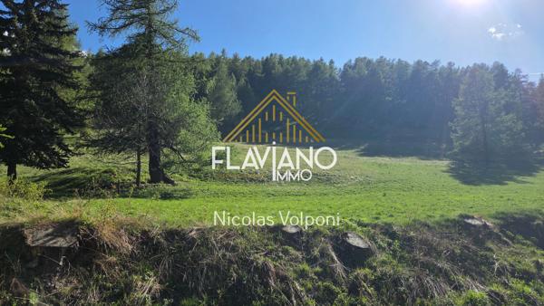 Terrain 5259 m2 La Condamine-Châtelard (04530)