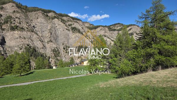 Terrain 5259 m2 La Condamine-Châtelard (04530)