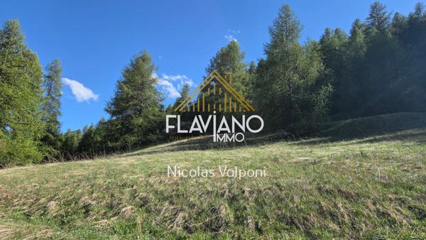 Terrain 5259 m2 La Condamine-Châtelard (04530)