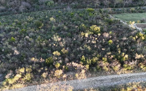 Terrain à vendre    Villeneuve-de-Berg
