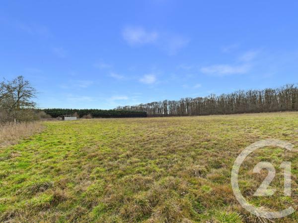 Maison à vendre  13 pièces - 355 m2 EPERNON - 28