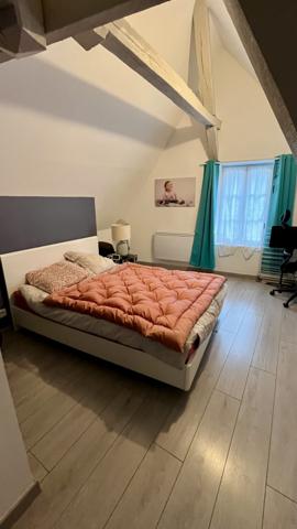 Appartement T3 dans l'ancien