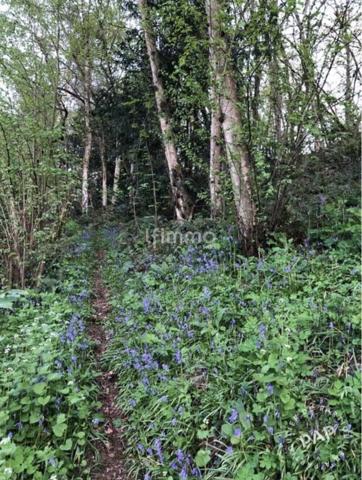 Coup de cœur à Villiers-le-Mohier !