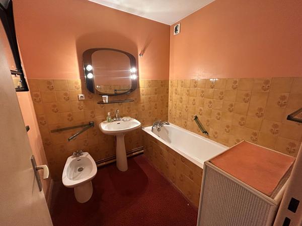 le raisin Toulouse Appartement T4 102 m2 avec ascenseur balcon et terrasse