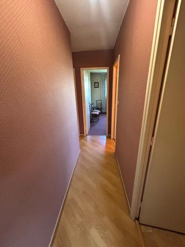 le raisin Toulouse Appartement T4 102 m2 avec ascenseur balcon et terrasse