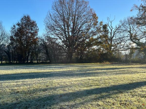 Terrain constructible