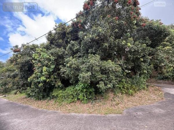 Terrain à Batir à vendre à Saint-Joseph à la Réunion (97480), ref : 97411-339