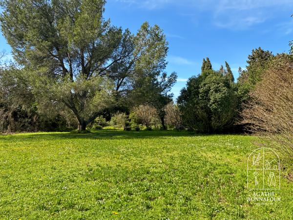 Châteaurenard (13160) Mas 435 m2 en pierre avec piscine au calme sur 5800 m2 de terrain