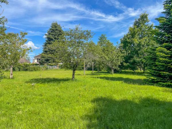 Terrain Villefranche Sur Cher 1612 m2