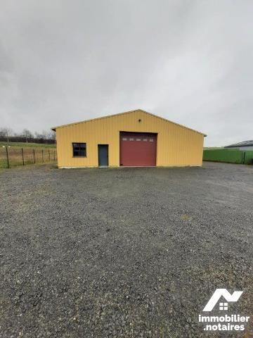 ACHAT : LOCAL D'ACTIVITÉS - Noyen Sur Sarthe - Sarthe (72)