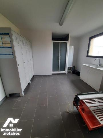 ACHAT : LOCAL D'ACTIVITÉS - Noyen Sur Sarthe - Sarthe (72)