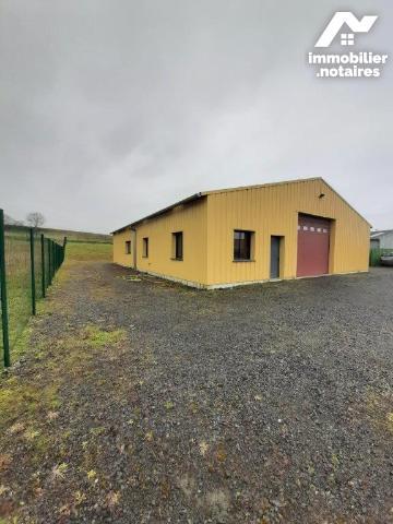 ACHAT : LOCAL D'ACTIVITÉS - Noyen Sur Sarthe - Sarthe (72)