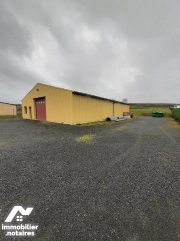 ACHAT : LOCAL D'ACTIVITÉS - Noyen Sur Sarthe - Sarthe (72)