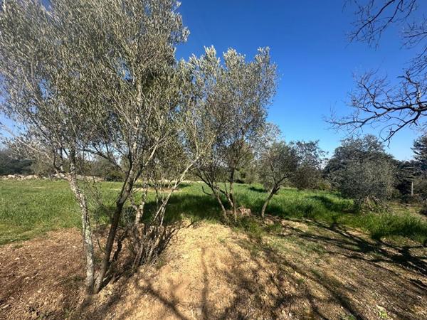 Terrain de loisirs Pignan