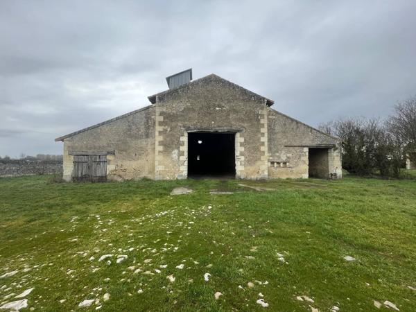Propriété de maître à rénover – Nombreuses dépendances