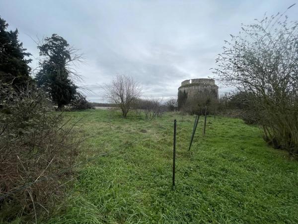 Propriété de maître à rénover – Nombreuses dépendances