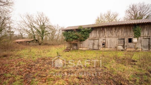 Un domaine à réinventer au cœur des Landes
