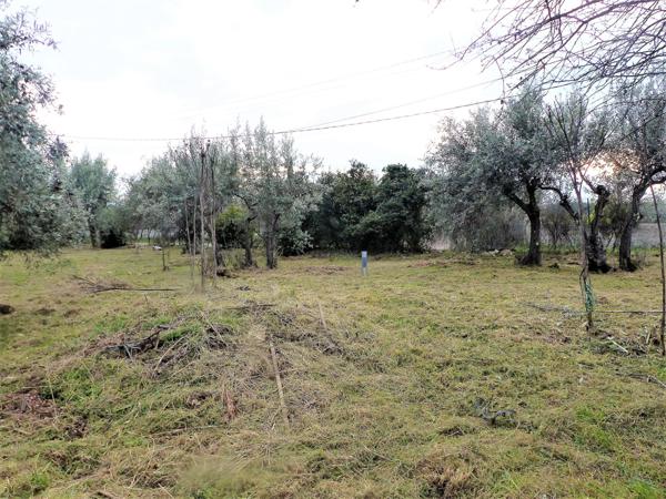 Vente / Terrain constructible