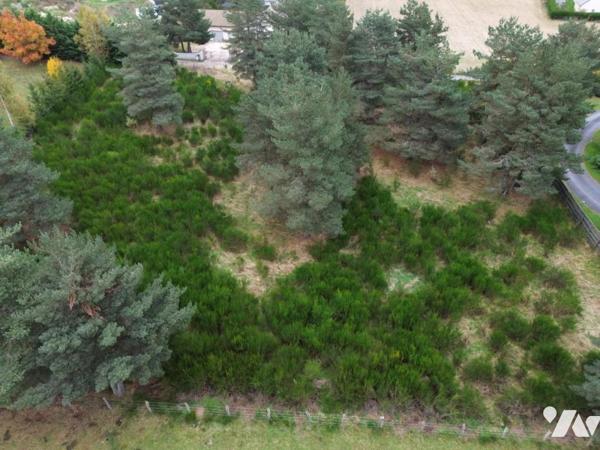 A VENDRE TERRAIN A BATIR  A SAINT CHELY D'APCHER