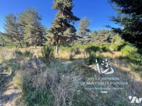 A VENDRE TERRAIN A BATIR  A SAINT CHELY D'APCHER