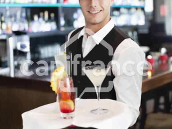 Dpt Indre et Loire (37), à vendre proche de TOURS Café - Hotel - Restaurant