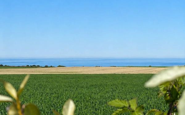 Maison à vendre    5 pièces •  Cauville-sur-Mer