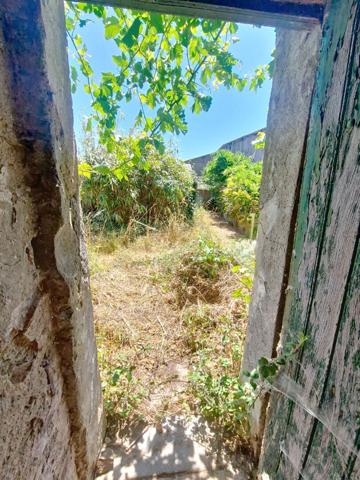 Cave a rehabiliter en maison, deux pieces, jardinet.