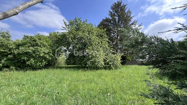 Situé à environ 6 minutes de Hautefort, la commune de Nailhac offre une qualité de vie en harmonie avec la nature. C'est au coeur de ce très charmand village du Périgord Noir que je vous propose ce manifique terrain arboré d'une superficie de 1587 m² constructible. Avec ces arbres magestueux et une vu imprenable sur la campagne environnante, c'est un écrin de choix pour votre projet de construction. Alors, amoureux de nature et de tranquilité, laissez vous séduire, c'est magnifique.