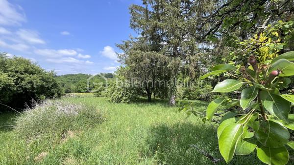 Situé à environ 6 minutes de Hautefort, la commune de Nailhac offre une qualité de vie en harmonie avec la nature. C'est au coeur de ce très charmand village du Périgord Noir que je vous propose ce manifique terrain arboré d'une superficie de 1587 m² constructible. Avec ces arbres magestueux et une vu imprenable sur la campagne environnante, c'est un écrin de choix pour votre projet de construction. Alors, amoureux de nature et de tranquilité, laissez vous séduire, c'est magnifique.